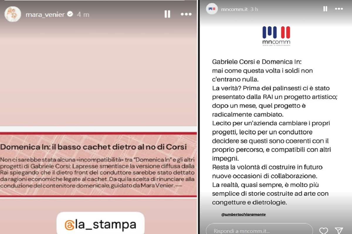 gabriele corsi mara venier domenica in guerra social