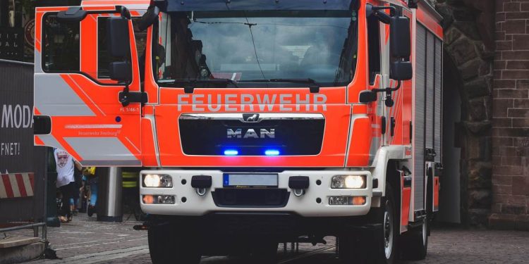 Pompieri (Foto: Pixabay)