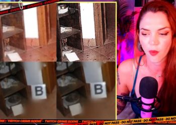 Delitto di Garlasco, statuetta di cammello