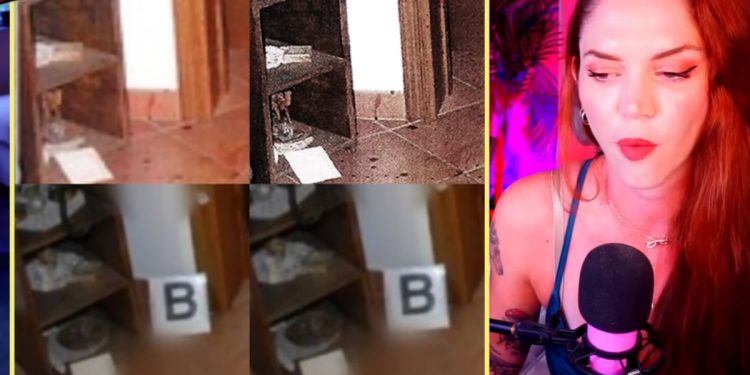 Delitto di Garlasco, statuetta di cammello