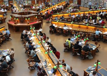 College universitario