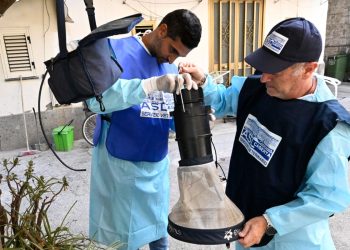 Operatori della Asl di Caserta impegnati nella installazione di trappole per le zanzare Culex responsabili del contagio sull'uomo del West Nile (Ansa)