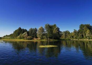 Il Ticino (foto G. Mereghetti)