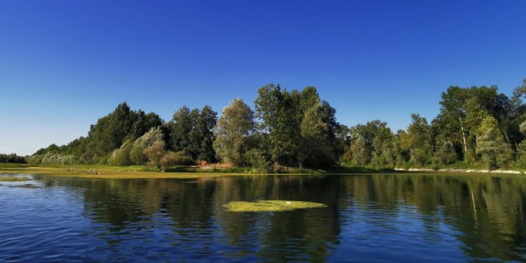 Il Ticino (foto G. Mereghetti)