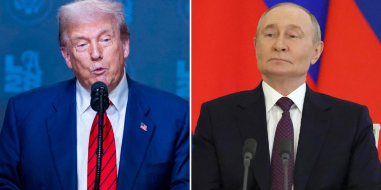 Trump, Putin (Foto: Ansa)