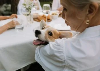 Foto di cottonbro studio (Pexels)