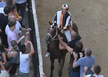 La contrada della Lupa ha vinto l'ultimo Palio di Siena dell'Assunta (Foto ANSA)