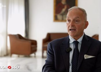 Delitto di Garlasco, Fineschi