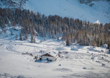 Foto di Cătălin Todosia (Pexels)