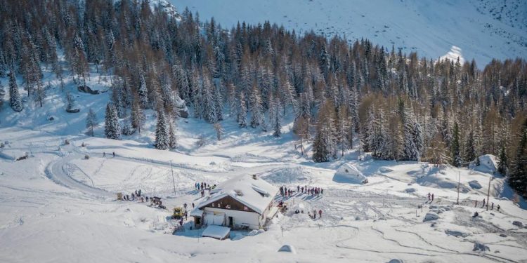 Foto di Cătălin Todosia (Pexels)