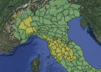 Allerta meteo oggi, 19 agosto 2025