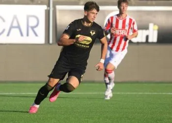 Ioan Vermesan con il Verona Primavera (da Facebook)