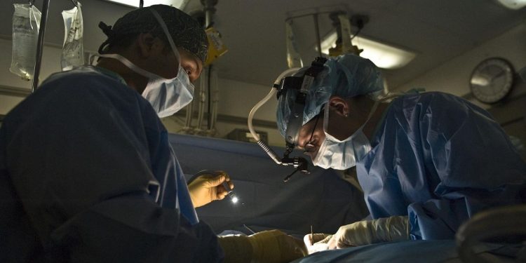 Autopsia (Foto: Pixabay)