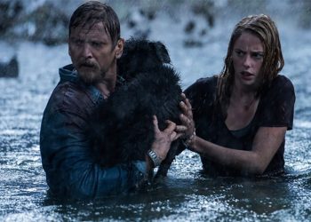 Crawl - Intrappolati, il film in prima serata su Italia 1 (Foto Web)