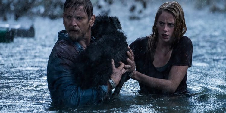 Crawl - Intrappolati, il film in prima serata su Italia 1 (Foto Web)