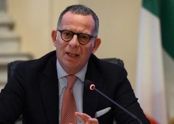 Gabriele Fava (Ansa)