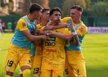 Video Trento Pro Vercelli