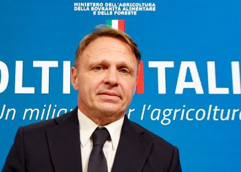 Francesco Lollobrigida (Ansa)