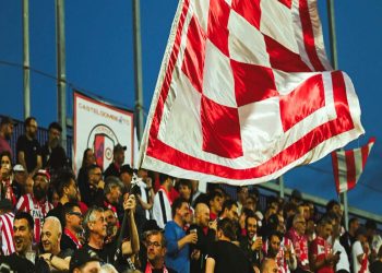 I tifosi del Vicenza (lrvicenza.net)