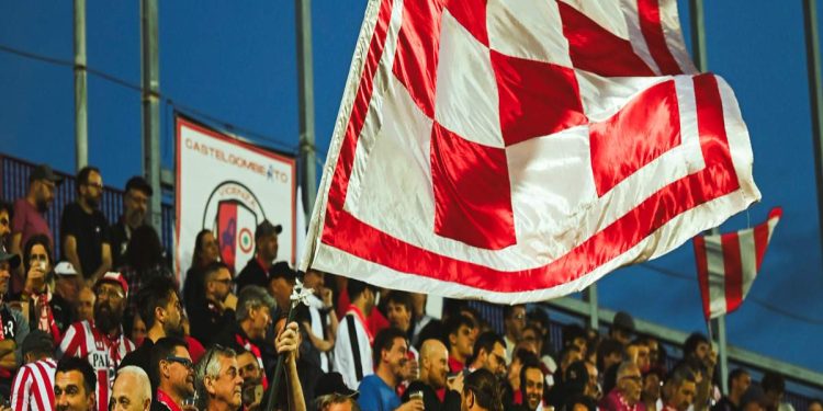 I tifosi del Vicenza (lrvicenza.net)