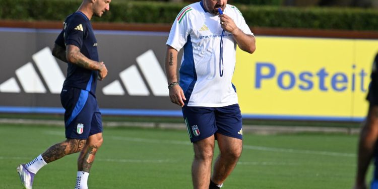 Gattuso, Ct Nazionale