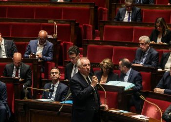 Bayrou, Parlamento Francia