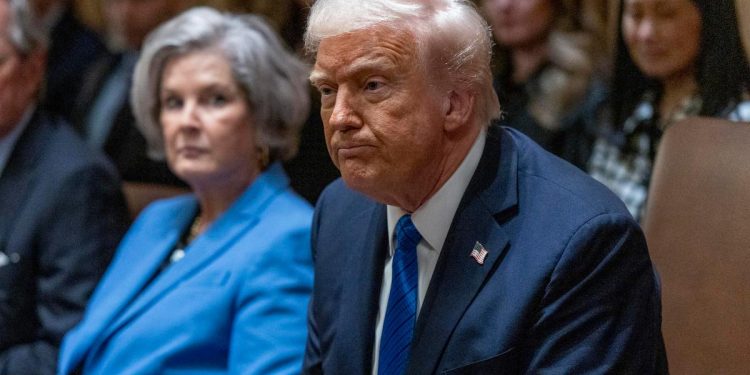 Donald Trump durante un consiglio di gabinetto (Ansa)