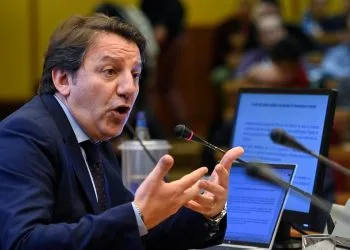 Pasquale Tridico (M5s) (Ansa)