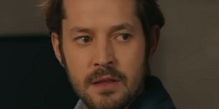 Harun di Hercai Amore e Vendetta