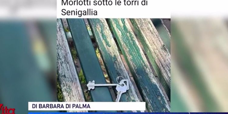 Silvana Damato (Foto: La vita in diretta)