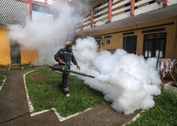 Disinfestazione per il virus Chikungunya