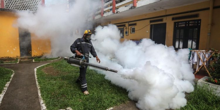 Disinfestazione per il virus Chikungunya