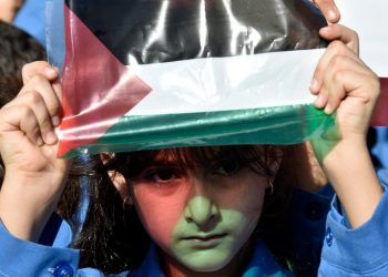 Bambino libanese manifesta solidarietà ai palestinesi. Beirut, 9 nov. 2023 (Ansa)