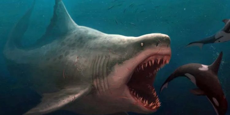 Il film in prima serata su Italia 1 (Foto Web)