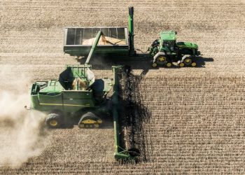 Raccolto di soia nel Wisconsin (Ansa)