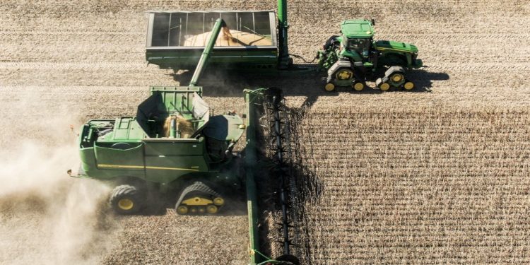 Raccolto di soia nel Wisconsin (Ansa)