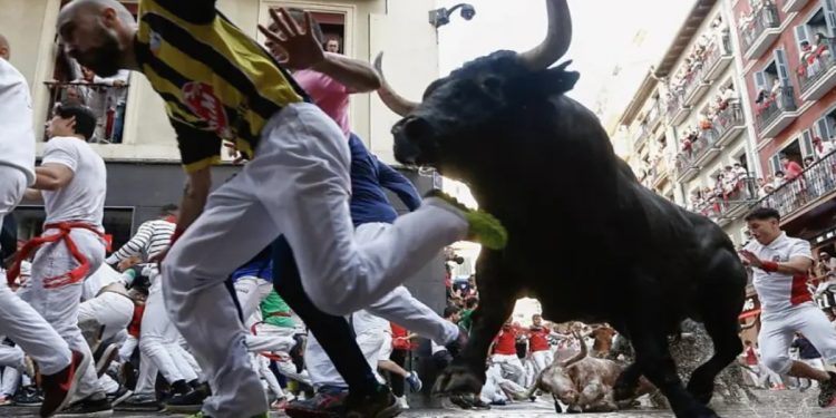 Uno scatto dall'encierro di Pamplona , la Festa di San Firmino (Foto Web)
