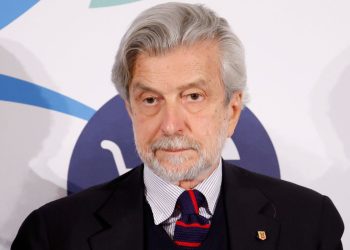 Cesare Damiano (Ansa)