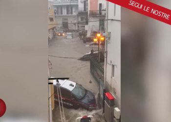 Ischia (Foto: Youtube)