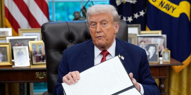 Il presidente degli Stati Uniti Donald Trump (Ansa)