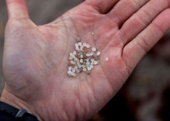 Microplastiche (Foto: ANSA-EPA/CABALAR)