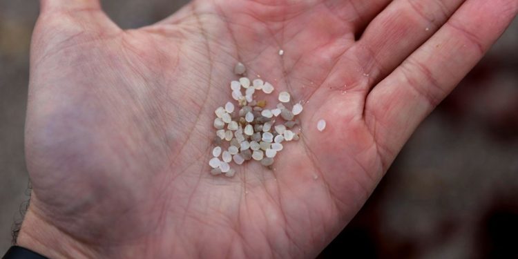 Microplastiche (Foto: ANSA-EPA/CABALAR)