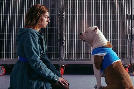 Blanca e Linneo (Foto: screen Raiplay)