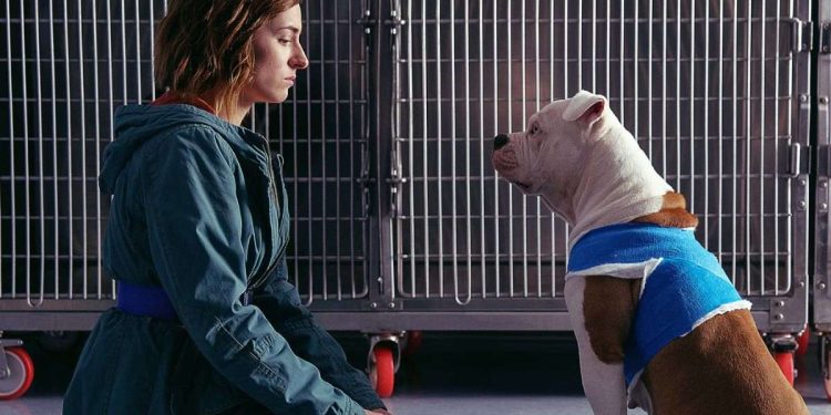 Blanca e Linneo (Foto: screen Raiplay)