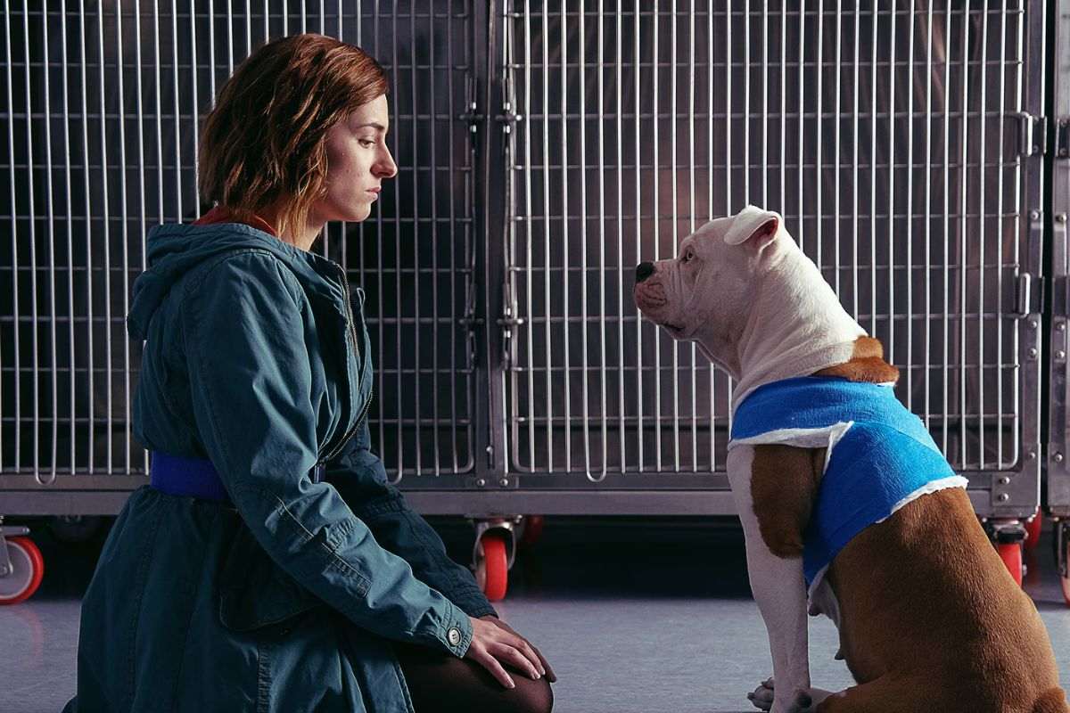 Blanca e Linneo (Foto: screen Raiplay)