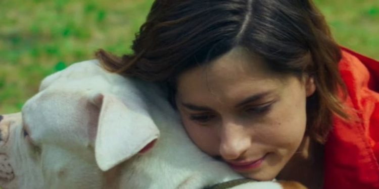 Blanca e Linneo (Foto: screen Raiplay)