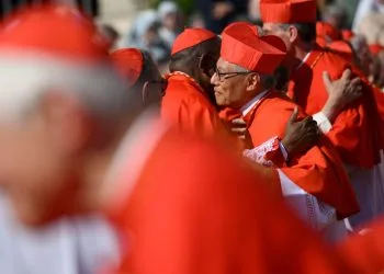 Cardinali durante il concistoro del 30 settembre 2023 (Ansa)