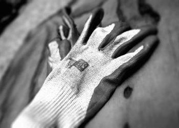 Omicidio (Foto: Pixabay)