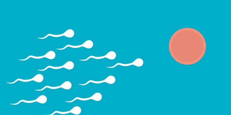 Fertilità (Foto: Pixabay)