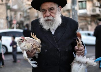 Un ebreo ultra-ortodosso tiene in mano un pollo durante il rituale Kaparot in vista della festività ebraica dello Yom Kippur a Gerusalemme, 29 settembre 2025 (Ansa)